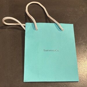 Tiffany & Co. Turquoise Shopping Bag